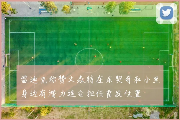 雷迪克称赞文森特在东契奇和小里身边有潜力适合担任首发位置