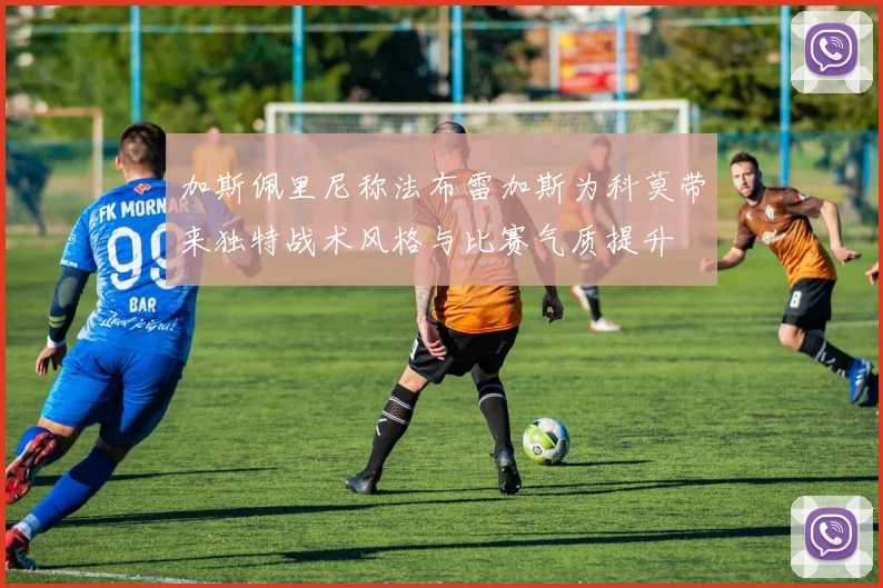 加斯佩里尼称法布雷加斯为科莫带来独特战术风格与比赛气质提升