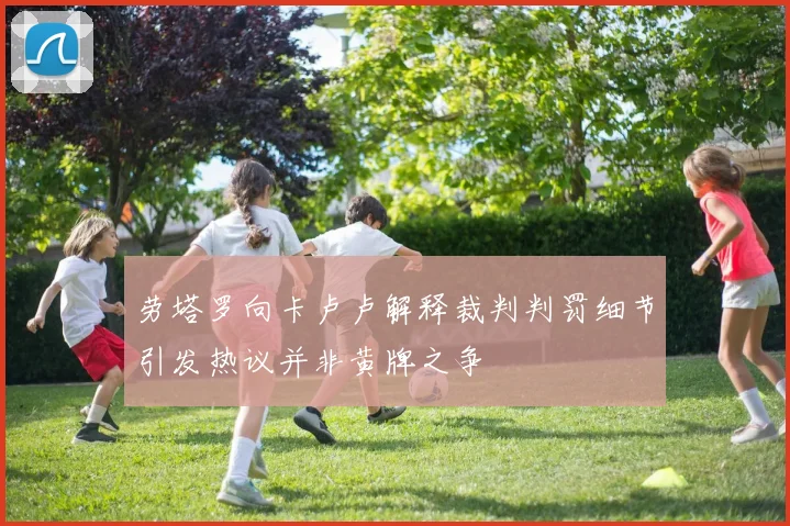 劳塔罗向卡卢卢解释裁判判罚细节引发热议并非黄牌之争